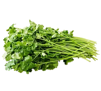 Kothmir (coriander) 1 Pendi