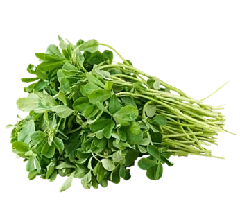 Methi (fenugreek) 1 Pendi